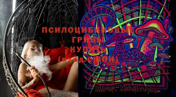 бутират Алексин