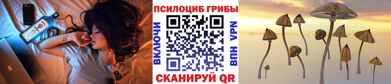 Псилоцибиновые грибы Psilocybe  Новоаннинский 